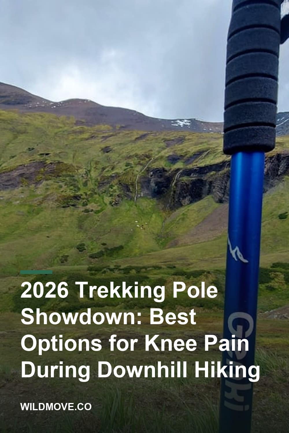 2026 Trekking Pole Showdown: Best Options for Knee Pain During Downhill Hiking