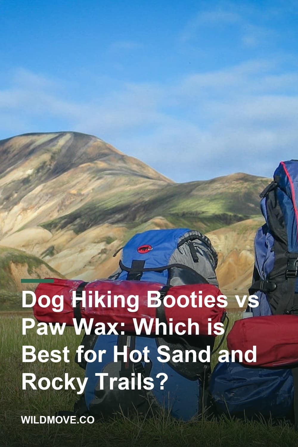 Dog Hiking Booties vs Paw Wax: Which is Best for Hot Sand and Rocky Trails?