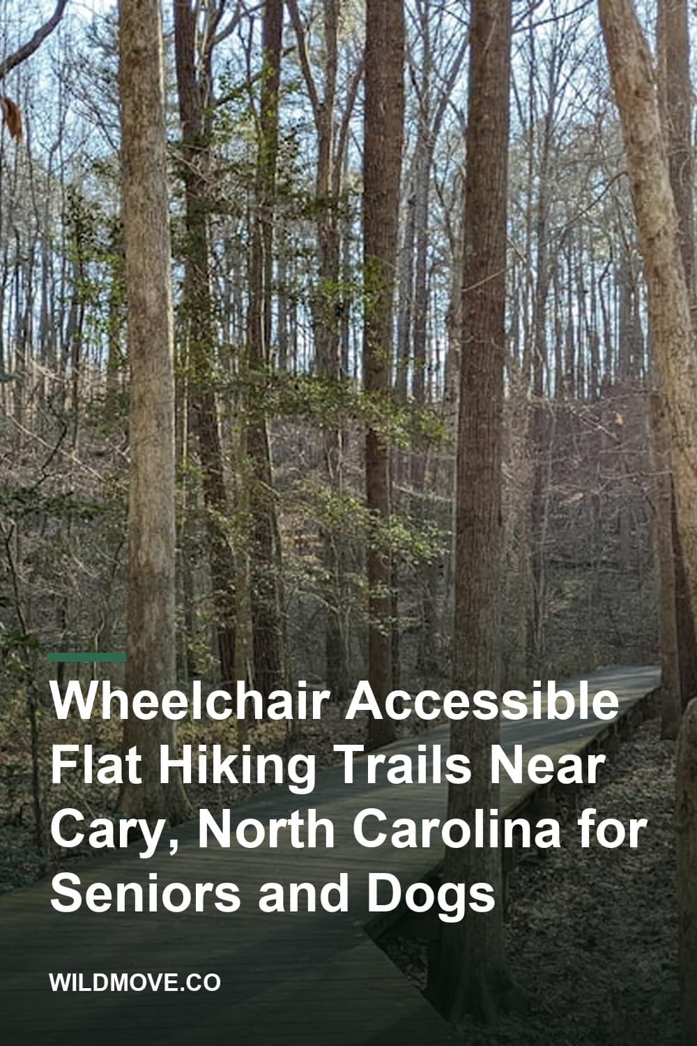 Wheelchair Accessible Flat Hiking Trails Near Cary, North Carolina for Seniors and Dogs