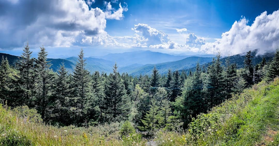 Best Camping Spots in Tennessee: Nature’s Hidden Gems