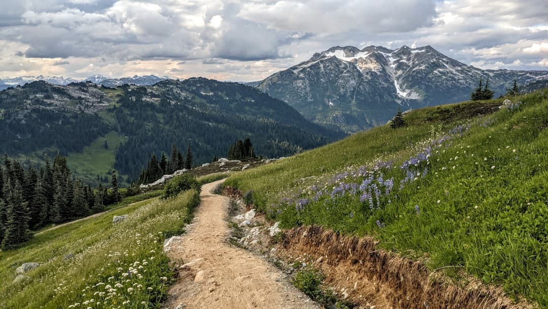 First Time Camping Above 10,000 Feet: Altitude Sickness Prevention Medication Checklist