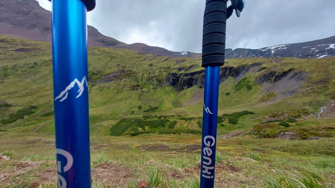 a couple of poles that are in the grass