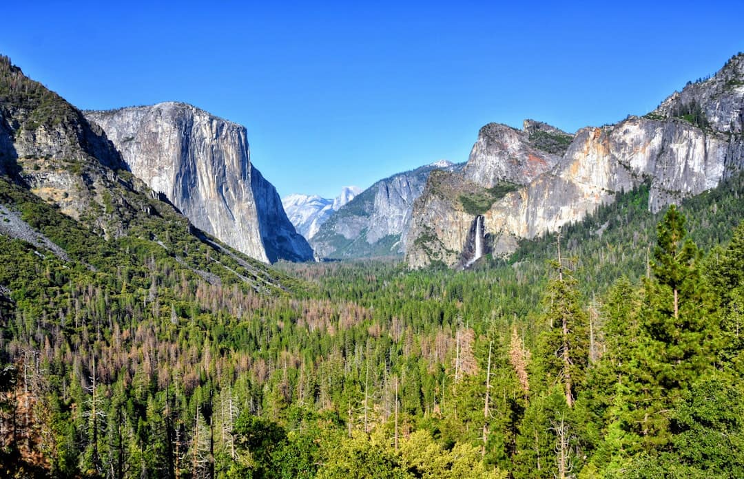 Common Bear Canister Mistakes in Yosemite National Park