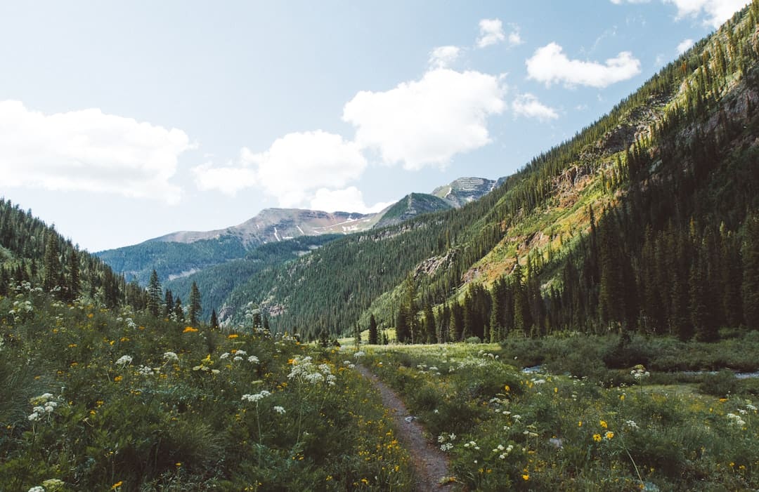 Camping in Colorado: Alpine Lakes & Starlit Nights