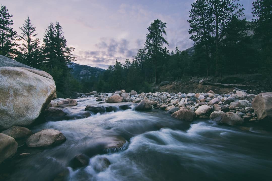Backcountry Water Filters You Can Trust