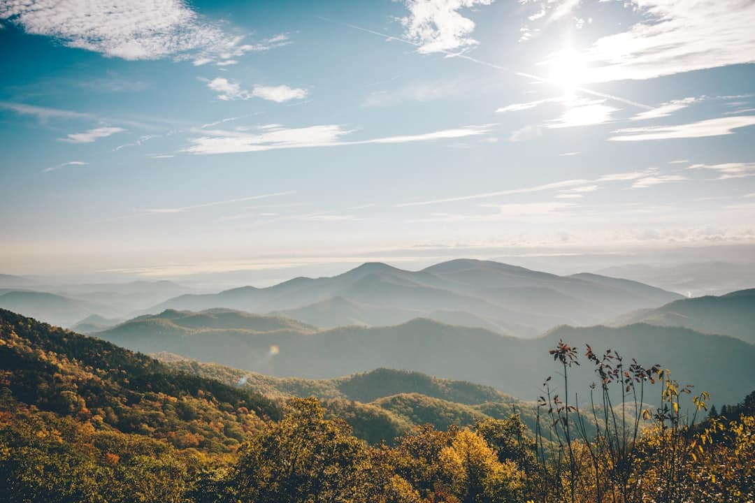 Peak Fall Foliage in the Smokies: Key Dates and Overlook Insights for 2026