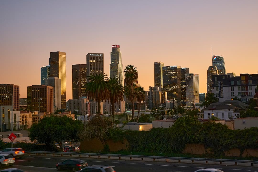 a view of a city with tall buildings and palm trees