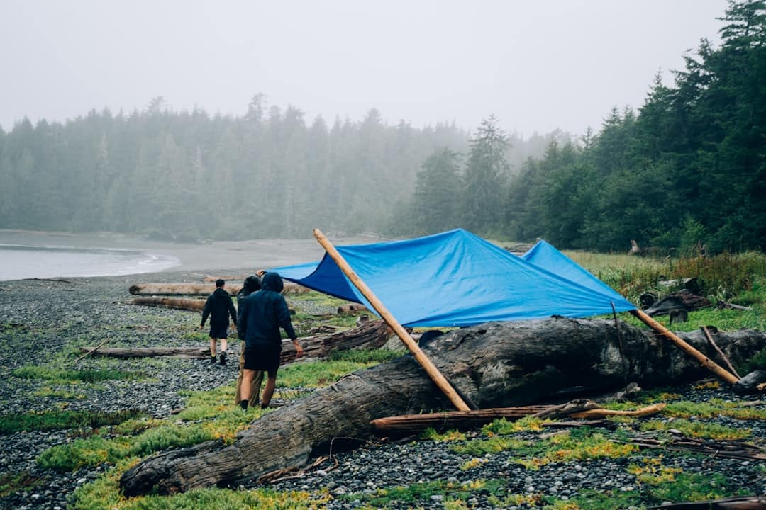 Step-by-Step Guide to Pitching a Tarp Shelter in Heavy Rain and Wind