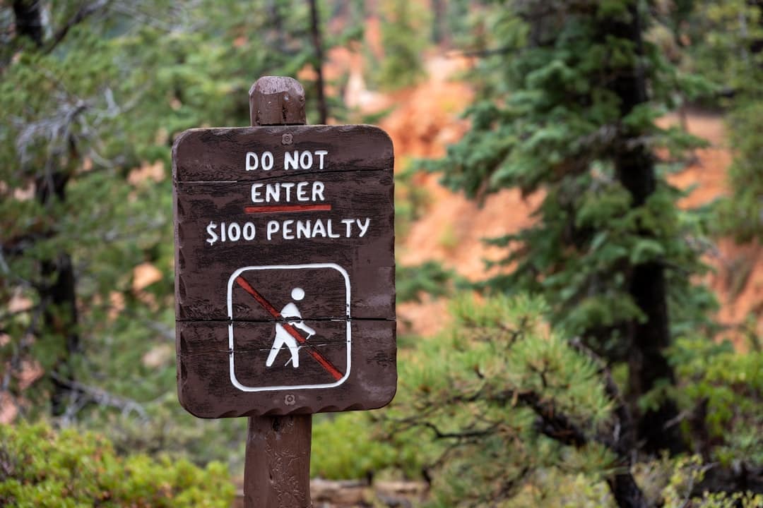 How National Park Permit Systems Actually Work in 2026 (and Where People Lose Their Shot)
