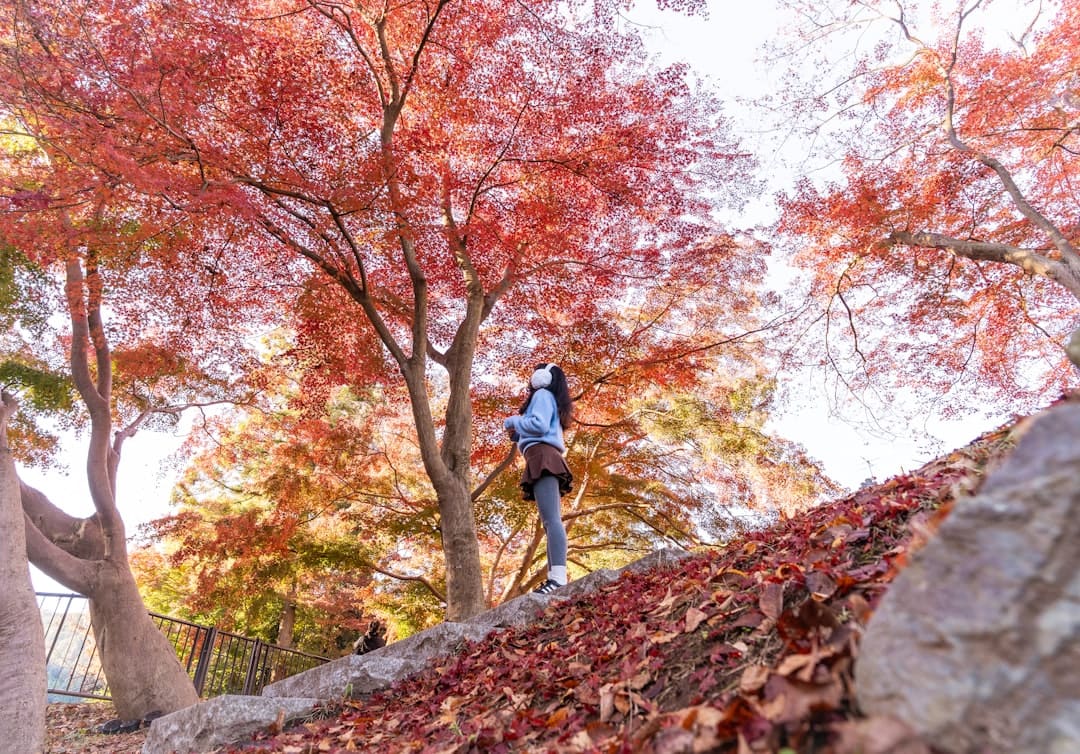 Woman looking up at vibrant autumn foliage