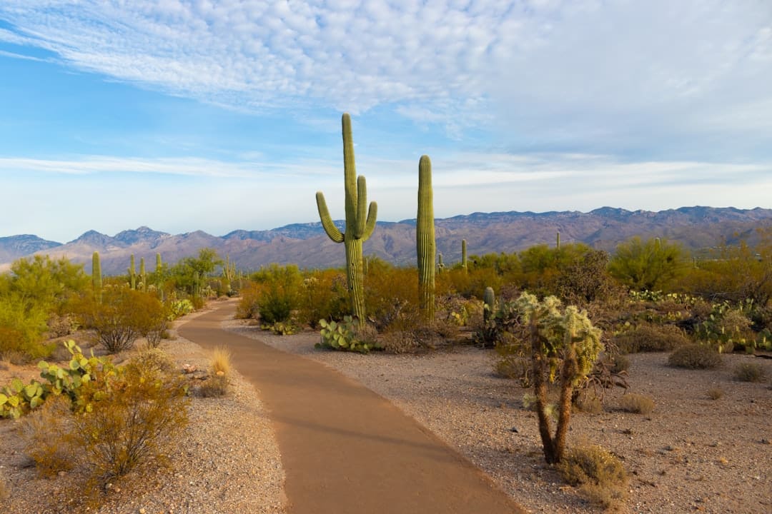 Exploring the Best Hiking Trails Near National Parks: A Guide for Adventurers