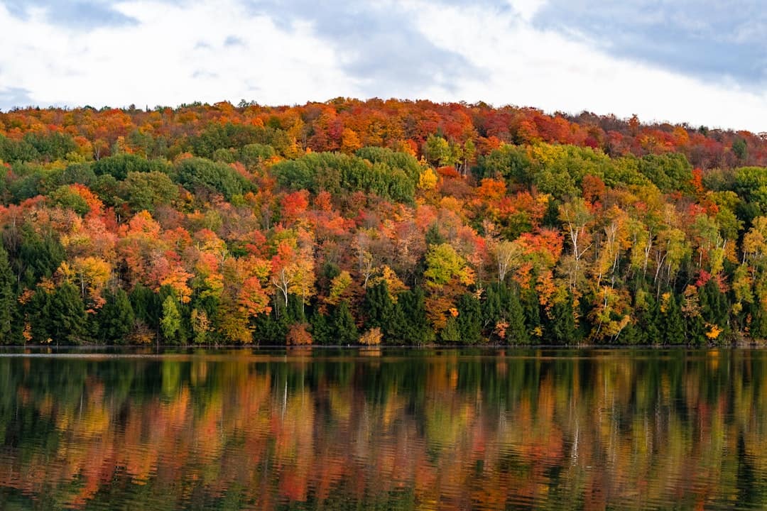 The Best Fall Foliage Drives in New England for 2026: State-by-State Guide