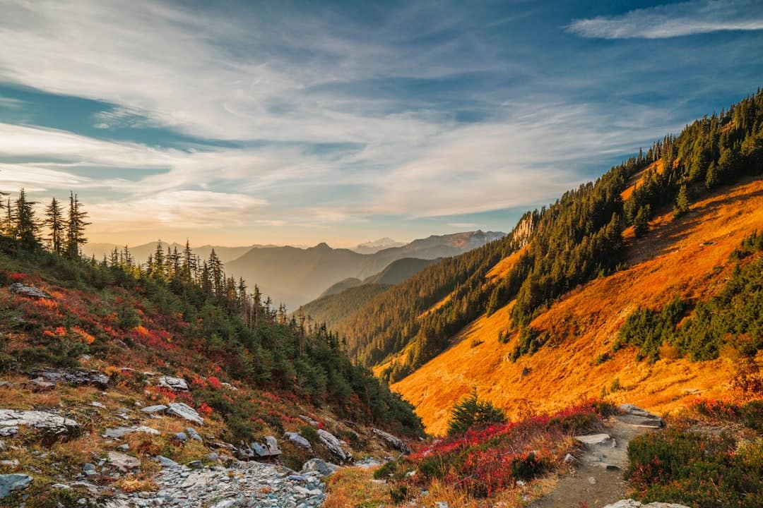 Free or Cheap Camping with Amenities in Washington
