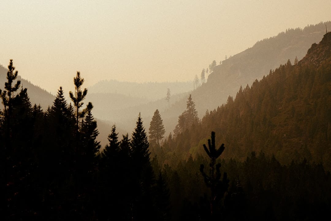 Discover Free or Cheap Camping with Amenities in Oregon