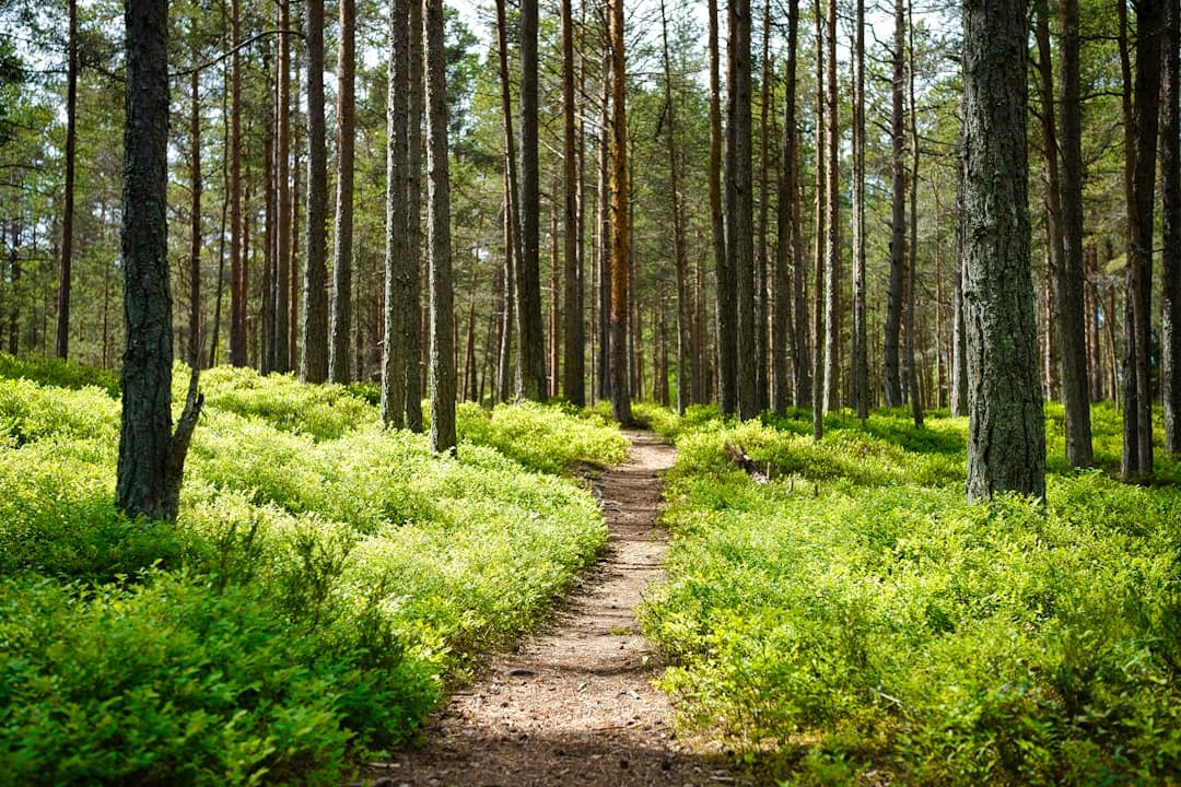 New to Hiking? What I Wish I’d Known Sooner