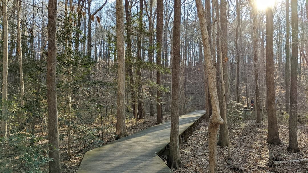 Wheelchair Accessible Flat Hiking Trails Near Cary, North Carolina for Seniors and Dogs