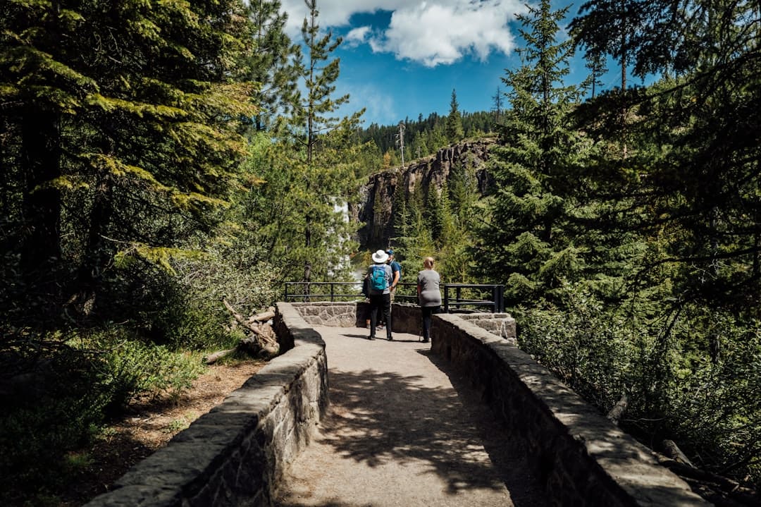 Explore Wheelchair Accessible Hiking Trails in Oregon: Detailed Maps Included