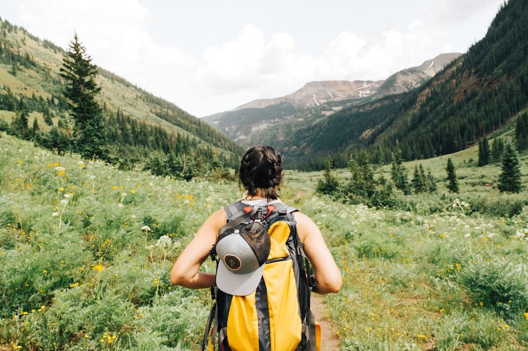 Electrolyte Showdown: LMNT vs Nuun vs Liquid IV for Hiking Hydration