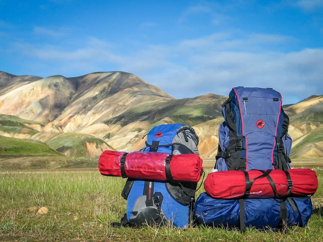 Dog Hiking Booties vs Paw Wax: Which is Best for Hot Sand and Rocky Trails?